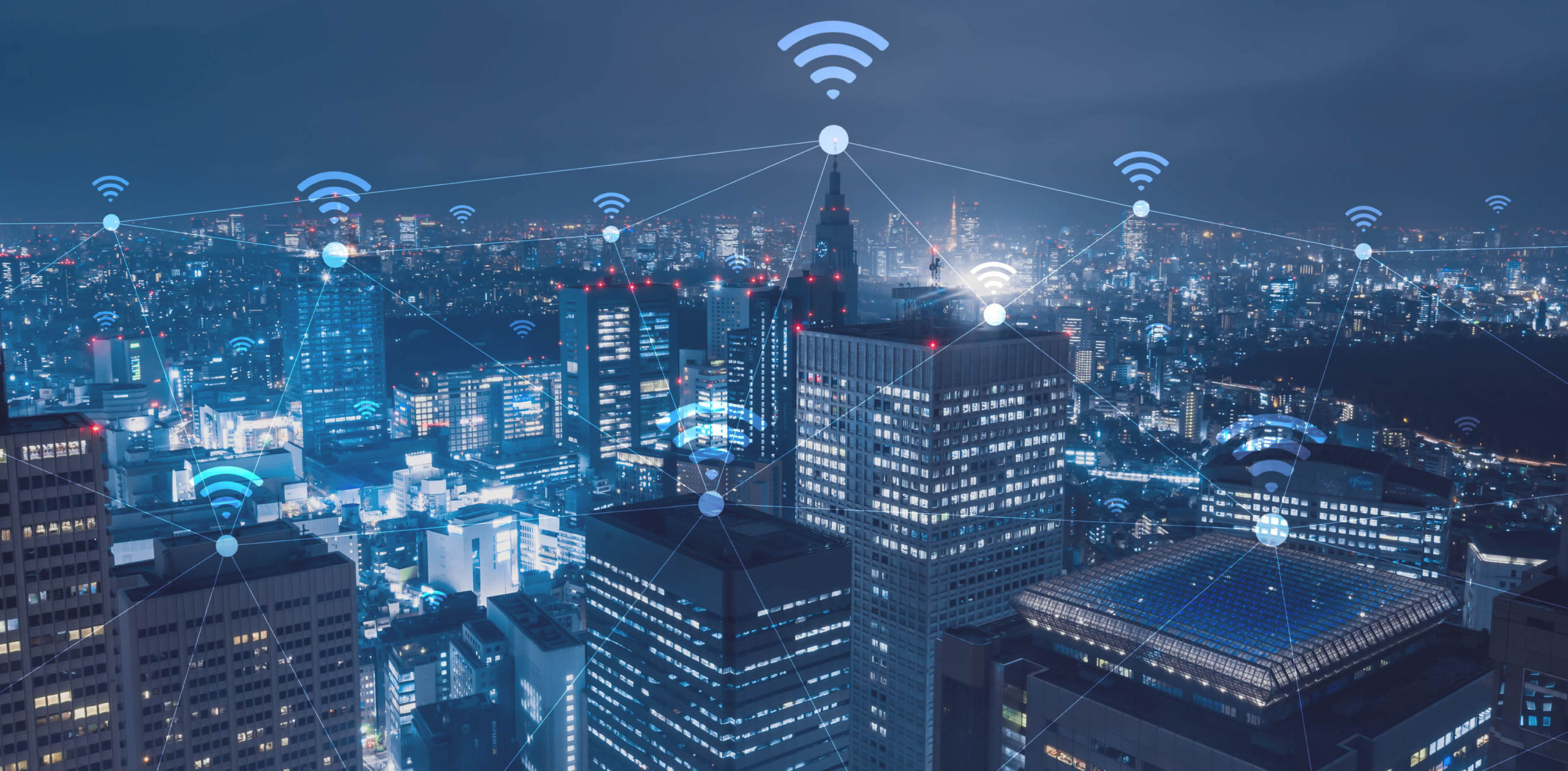 About Network Options - Network Options & Solutions